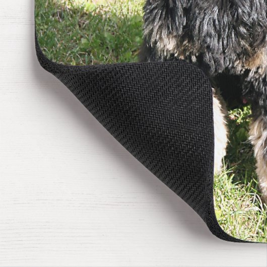 Tapis De Souris Cocker Spaniel Photo (Coin)