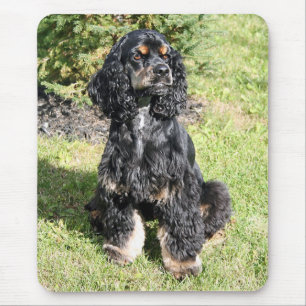 Tapis De Souris Cocker Spaniel Photo