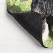 Tapis De Souris Cocker Spaniel Photo (Coin)