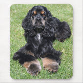 Tapis De Souris Cocker Spaniel Photo Mousepad (Devant)
