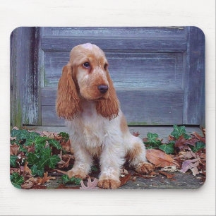 Tapis De Souris Cockers anglais
