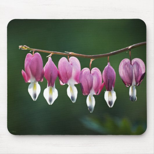 Tapis De Souris Coeurs Dainty Mousepad (Devant)