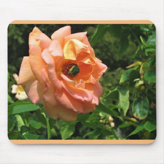 Tapis De Souris Coléoptère sur une rose (Devant)