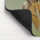 Tapis De Souris Colibri (Coin)