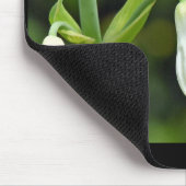 Tapis De Souris Colibri (Coin)