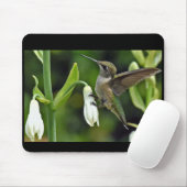 Tapis De Souris Colibri (Avec souris)