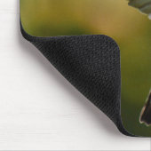 Tapis De Souris Colibri (Coin)