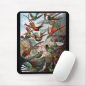 Tapis De Souris Colibri (Avec souris)