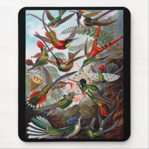 Tapis De Souris Colibri