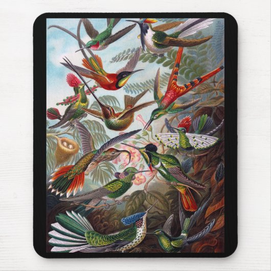 Tapis De Souris Colibri (Devant)