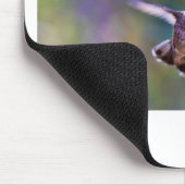 Tapis De Souris Colibri (Coin)