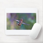 Tapis De Souris Colibri (Avec souris)