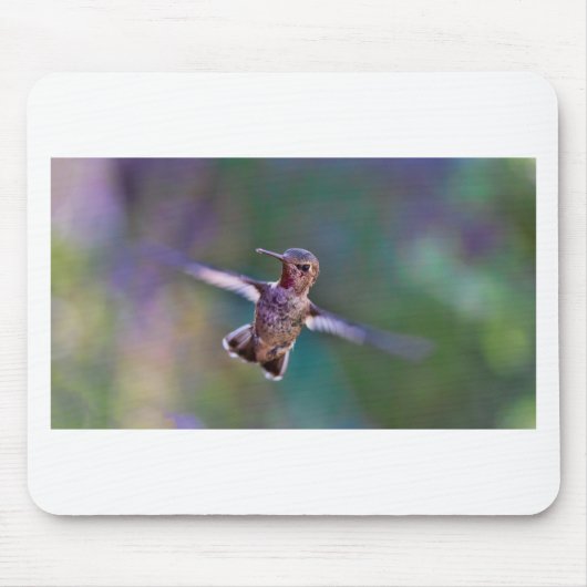 Tapis De Souris Colibri (Devant)