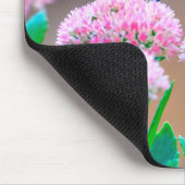 Tapis De Souris Colibri (Coin)