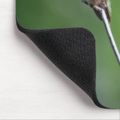 Tapis De Souris Colibri (Coin)