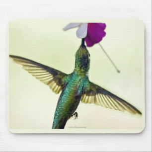 Tapis de souris Colibri