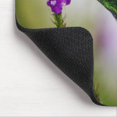 Tapis De Souris colibri (Coin)