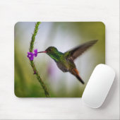 Tapis De Souris colibri (Avec souris)
