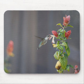 Tapis De Souris Colibri