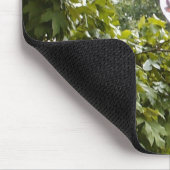 Tapis De Souris Colibri 2, Mousepad (Coin)