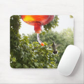 Tapis De Souris Colibri 2, Mousepad (Avec souris)