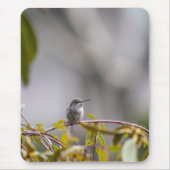 Tapis De Souris Colibri 3346 (Devant)