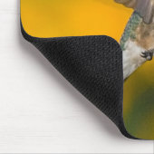 Tapis De Souris Colibri 4 Mousepad (Coin)