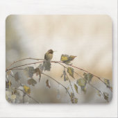 Tapis De Souris Colibri 5265 (Devant)
