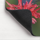 Tapis De Souris Colibri à gorge rubis mâle (Coin)