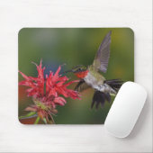 Tapis De Souris Colibri à gorge rubis mâle (Avec souris)