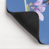 Tapis De Souris Colibri à queue large, Selasphorus (Coin)