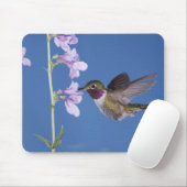 Tapis De Souris Colibri à queue large, Selasphorus (Avec souris)