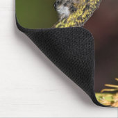 Tapis De Souris Colibri, colibri, oiseau (Coin)