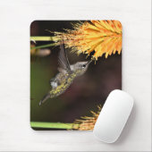 Tapis De Souris Colibri, colibri, oiseau (Avec souris)