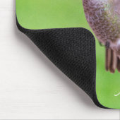 Tapis De Souris Colibri d'Anna (Coin)