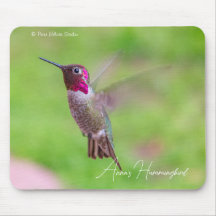 Colibri d'Anna