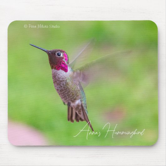 Tapis De Souris Colibri d'Anna (Devant)