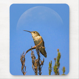 Tapis De Souris Colibri d'Anna perché sur la pleine lune Photo