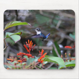 Tapis De Souris Colibri en vol et fleurs rouges