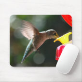 Tapis De Souris Colibri, mousepad (Avec souris)