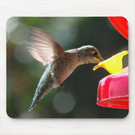 Tapis De Souris Colibri, mousepad (Devant)