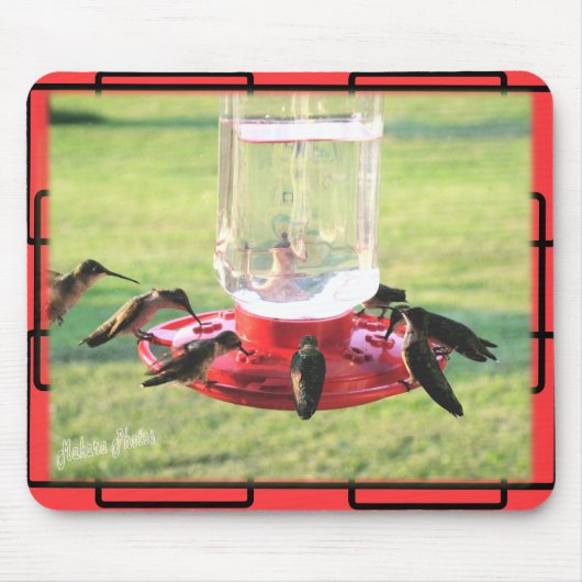 Tapis De Souris Colibri Mousepad (Devant)