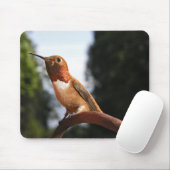Tapis De Souris Colibri roux mâle - Mousepad (Avec souris)