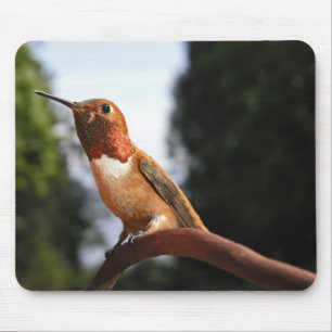 Tapis De Souris Colibri roux mâle - Mousepad