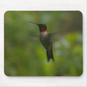 Tapis De Souris Colibri Ruby Throat (Devant)