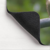 Tapis De Souris Colibri Ruby Throat (Coin)