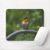 Tapis De Souris Colibri Ruby Throat (Avec souris)