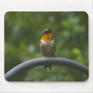 Tapis De Souris Colibri Ruby Throat