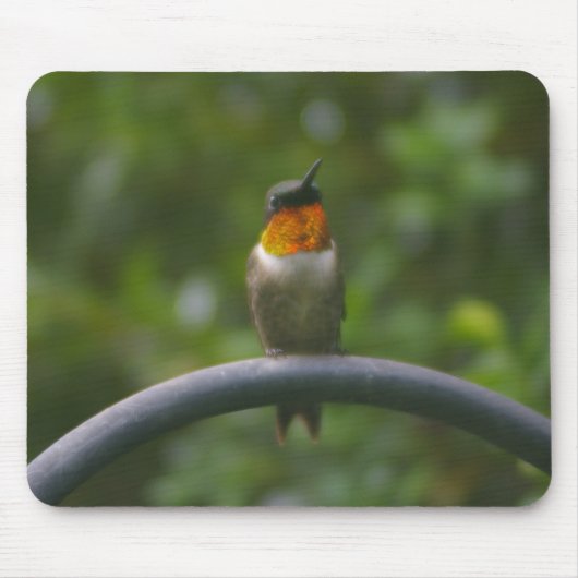 Tapis De Souris Colibri Ruby Throat (Devant)