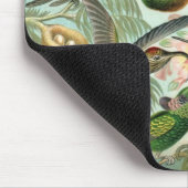 Tapis De Souris Colibris par Ernst Haeckel, Oiseaux Vintages (Coin)